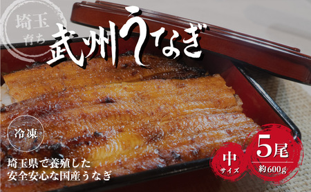 うなぎ 国産 5尾 中サイズ 約600g | うなぎ 国産