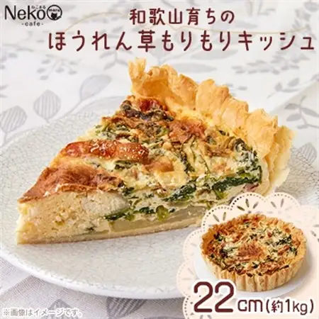 和歌山育ちのほうれん草もりもりキッシュ_惣菜・加工品   _【配送不可地域：離島】【1483746】