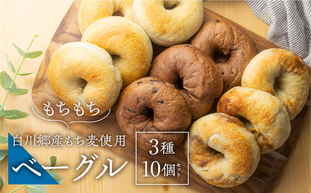 白川郷産 もち麦使用 ベーグル（プレーン チョコ メープル）10個セット アオイロ・ベーグル もちもち ベーグル 国産 小麦 もち麦 使用 冷凍 個包装 アオイロ・カフェ 岐阜県 白川村 白川郷 世界遺産 手作り パン 12000円 [S508]