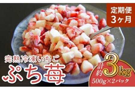いちご 【3ヶ月定期便】 冷凍いちご 1㎏ (500g×2パック) 【定期便3ヶ月】完熟冷凍いちご「ぷち苺」1kg 500g×2パック 園村苺園 熊本県産冷凍いちご 宇城市産冷凍いちご 九州産冷凍いちご 