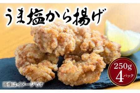 唐揚げ うま塩から揚げ 250g×4パック