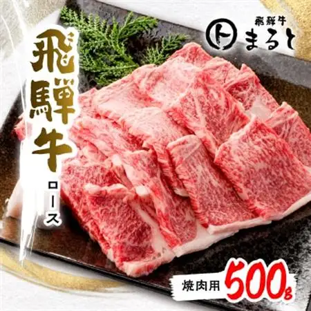 【飛騨牛A4等級以上】特選ロース(焼肉用)500g【配送不可地域：離島】【1451224】