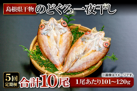 のどぐろ一夜干し 2尾 【5回定期便】【のどぐろ 干物 1尾あたり101～120g 2尾 のどぐろ干物 10枚 ノドグロ あかむつ アカムツ 新鮮 一夜干し 個包装 小分け 真空パック 冷凍 贈答 父の日 母の日】
