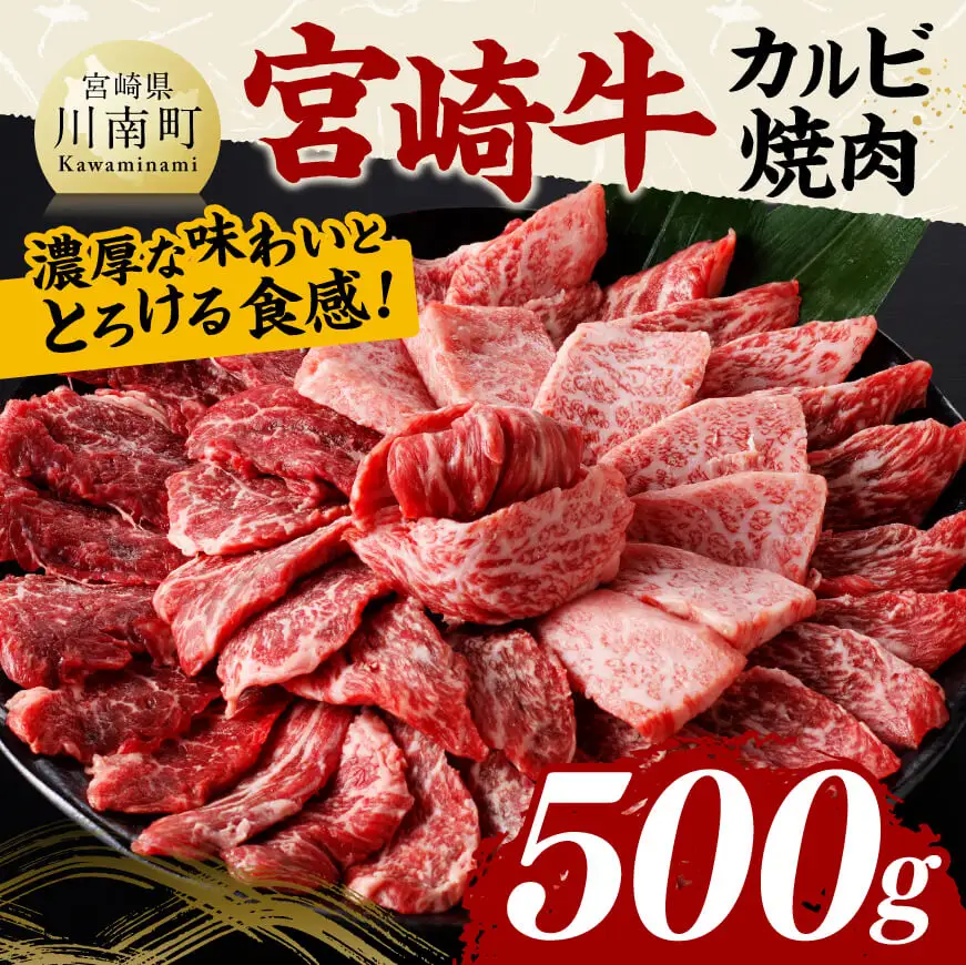 宮崎牛 カルビ焼肉 500g 【 肉 牛肉 国産 宮崎県産 黒毛和牛 カルビ 焼肉 】