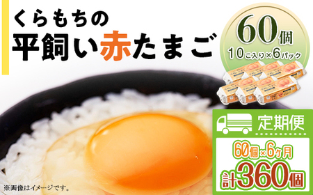 459 たまご 60個 6パック 定期便 6カ月 計360個 小分け 新鮮 赤 玉子 卵 タマゴ くらもちの農場 平飼い