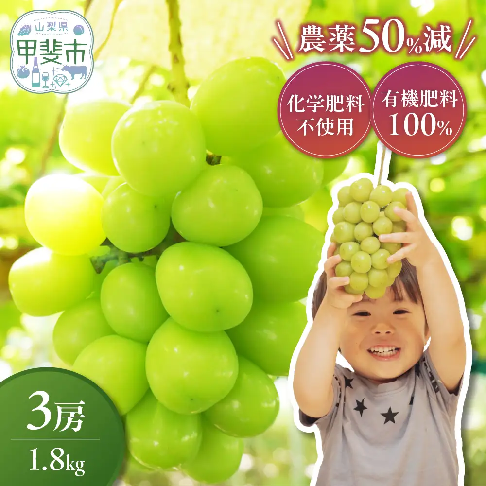 特別栽培 減農薬 シャインマスカット 1.8㎏ 3房 山梨シャインマスカット
