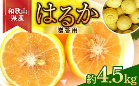 【先行予約】和歌山県産 はるかみかん 約4.5kg（サイズ混合・秀品）｜はるか みかん 柑橘 果物 果実 国産 おすすめ 人気 フルーツ 美浜 和歌山