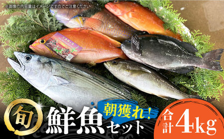 【五島列島直送】朝獲れ鮮魚セット4kg　鯛福丸水産/五島市[PDP011]   魚 鮮魚 セット 海鮮 直送 さかな 詰合せ 冷蔵
