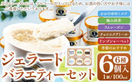 ジェラート 6種 6個 バラエティーセット GELATERIA NAKAICHI《30日以内に出荷予定(土日祝除く)》岩手県 九戸村 ジェラート アイス ミルク チョコ 抹茶 リンゴ ラムレーズン ジェラート ジェラート ジェラート 