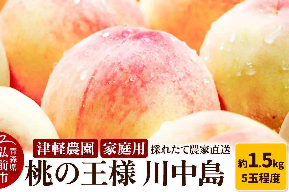 【26年8月発送】桃 約1.5kg(5玉程度) 青森【2026年産 桃の王様 川中島】もも 家庭用 果物 フルーツ くだもの 津軽農園 採れたて 農家直送