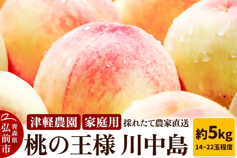 【26年8月発送】桃 約5kg(14～22玉程度) 青森【2026年産 桃の王様 川中島】もも 家庭用 果物 フルーツ くだもの 津軽農園 採れたて 農家直送