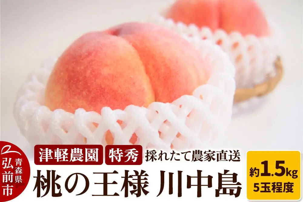【26年8月発送】桃 約1.5kg(5玉程度) 青森【2026年産 桃の王様 川中島】もも 特秀 果物 フルーツ くだもの 津軽農園 採れたて 農家直送