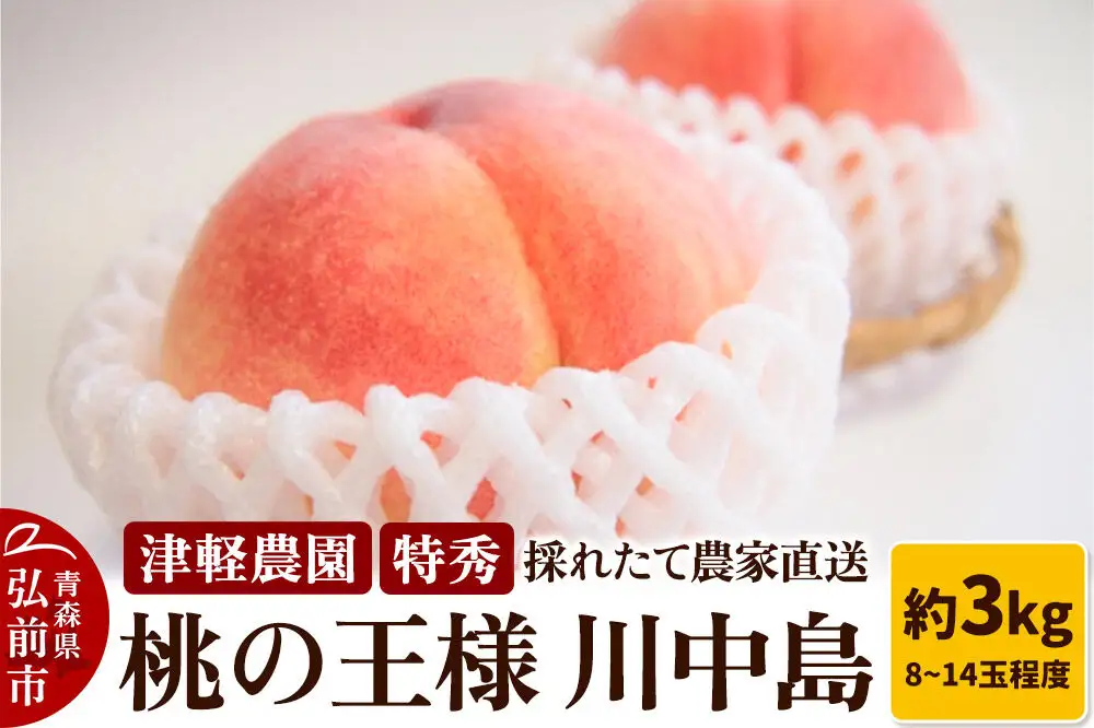 【26年8月発送】桃 約3kg(8～14玉程度) 青森【2026年産 桃の王様 川中島】もも 特秀 果物 フルーツ くだもの 津軽農園 採れたて 農家直送