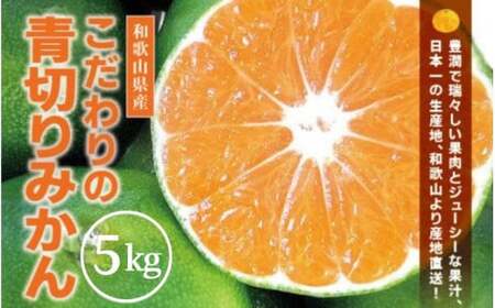 青切り みかん 5kg / 極早生 極早生みかん 温州みかん 甘い 家庭用 和歌山 柑橘 ※2026年9月下旬～10月順次発送 ※北海道・沖縄・離島への配送不可  【nuk001-r-5B】