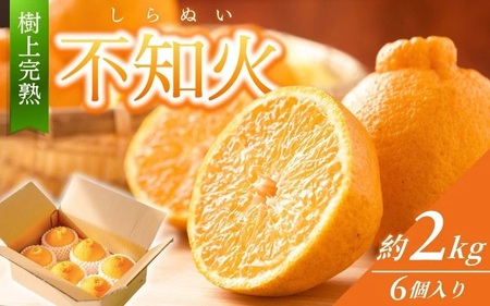 【先行予約】希少な樹上完熟　しらぬい（不知火） 秀品大玉 約2kg(6個) 2027年2月末～2027年3月末頃に順次発送予定（お届け日指定不可）/ 和歌山 みかん しらぬい 不知火 フルーツ 柑橘 蜜柑 果物 くだもの【kiy001A】