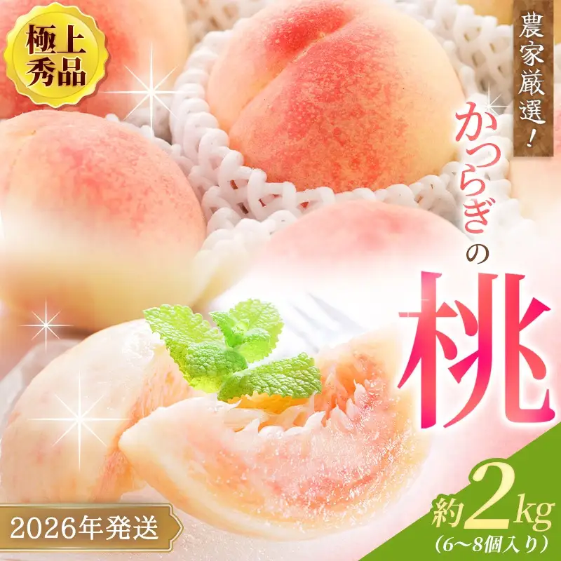 【先行予約】【厳選】あふれる果汁で口いっぱい！ 和歌山県産 桃 約2kg（6個～9個） 【2026年6月末頃～2026年8月末頃に順次発送予定】（お届け日指定不可）/ 和歌山 桃 モモ フルーツ もも 白桃 果物 くだもの【kgr001A】