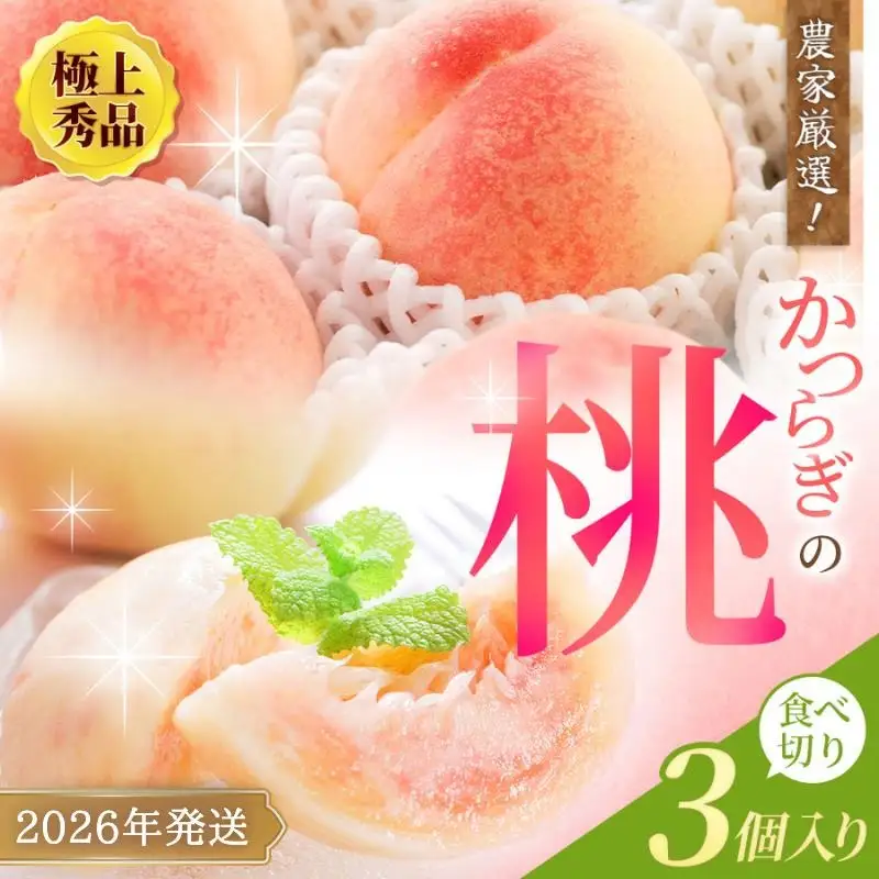 桃 和歌山県産 秀品 3玉 食べきり容量 桃【kgr002】