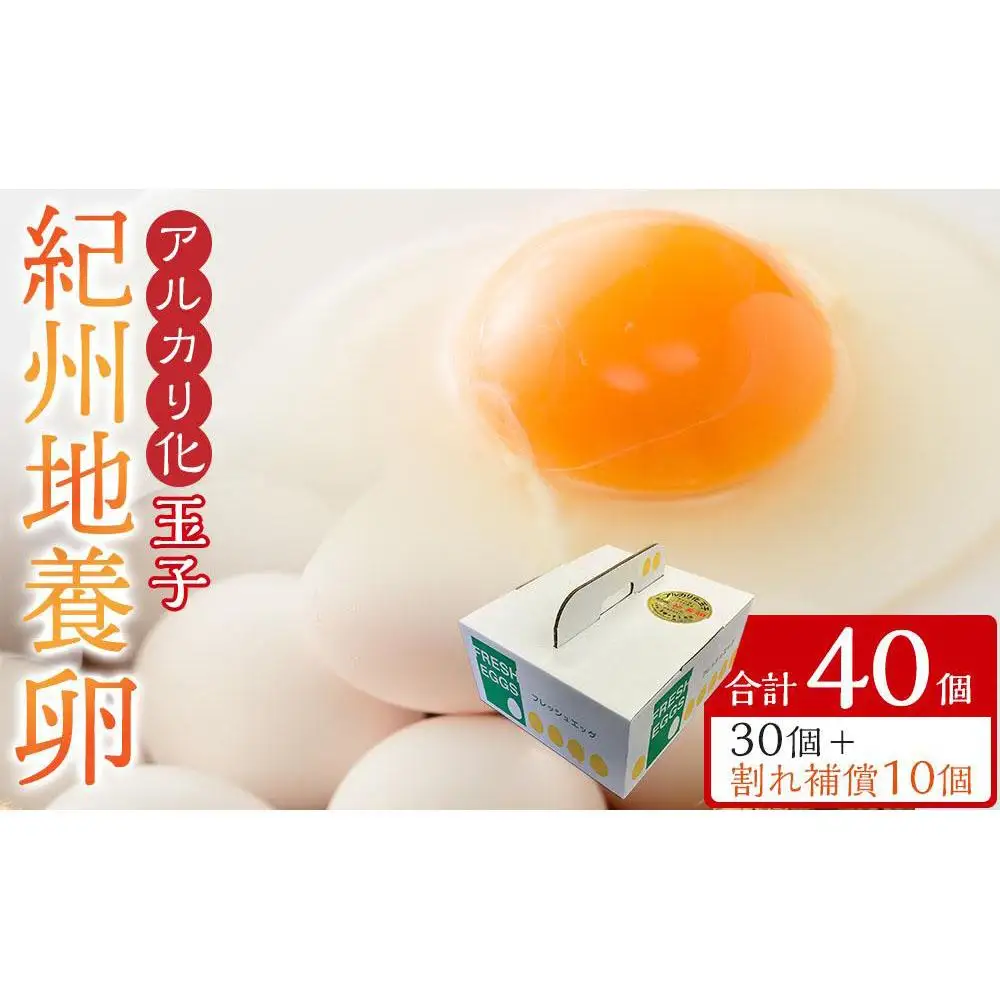 アルカリ化 玉子 紀州地養卵 合計 40個入 (30個＋割れ補償分10個）卵 たまご 玉子 タマゴ 鶏卵 まとめ買い オムレツ 卵かけご飯 朝食 業務用