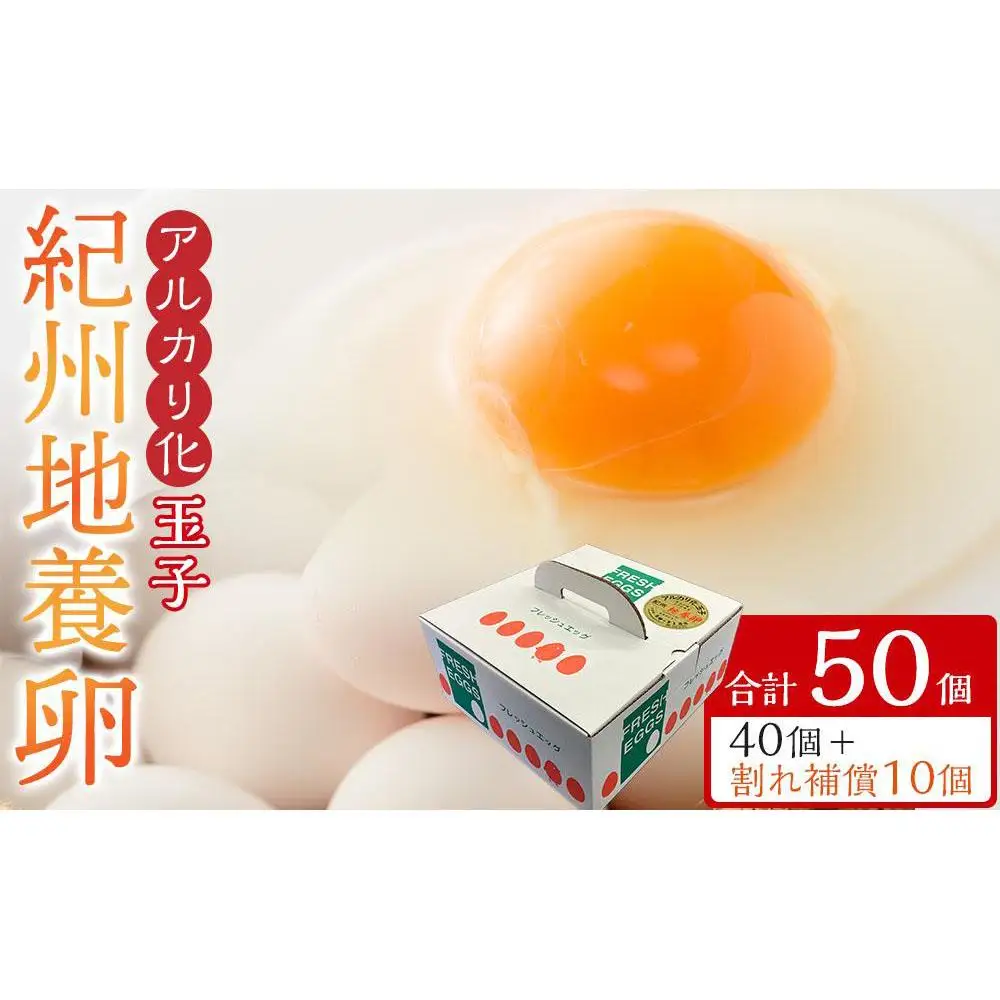 アルカリ化 玉子 紀州地養卵 合計 50個入 (40個＋割れ補償分10個）卵