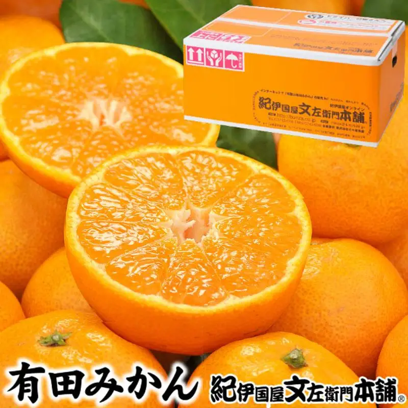 ブランド有田みかん 秀品 5kg［サイズおまかせ］／産地直送／薄皮で甘い美味しい和歌山県産／紀伊国屋文左衛門本舗