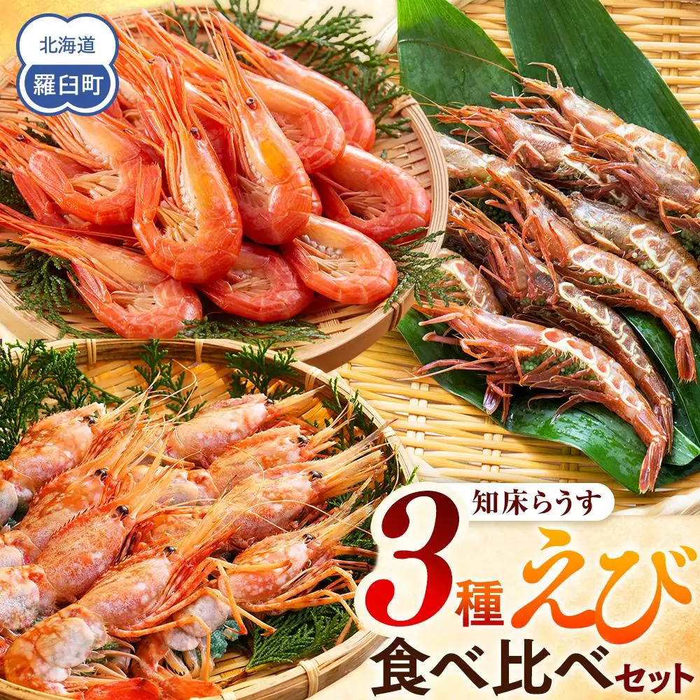 知床羅臼 3種えび食べ比べセット｜えび　刺身　北海道