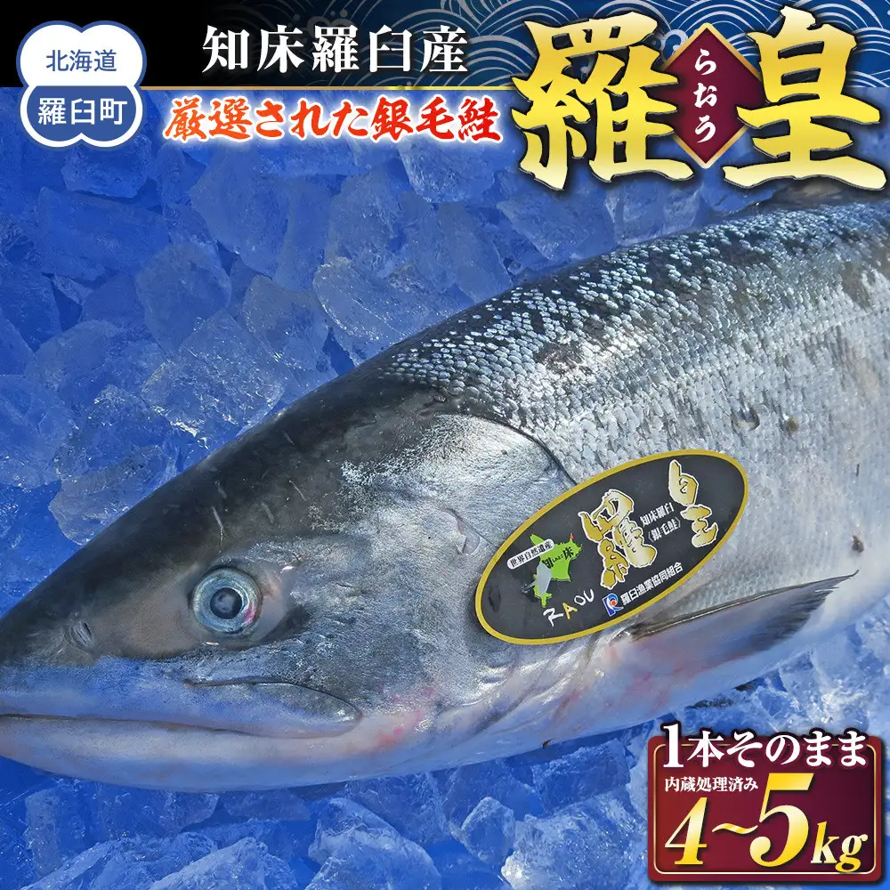 羅臼産 鮭 羅皇（らおう)１尾4～5kg  魚 さけ ブランド 知床 北海道 