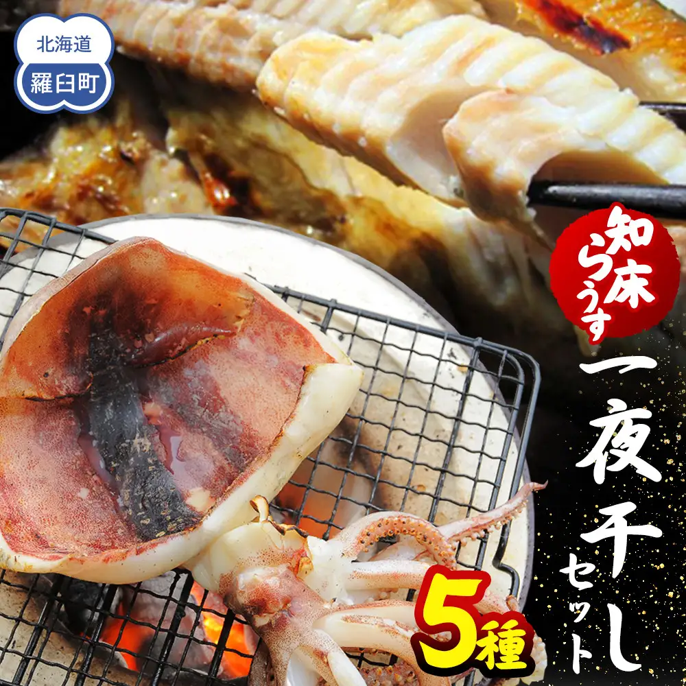 知床羅臼一夜干しセット 5種 魚 一夜干し 国産 北海道