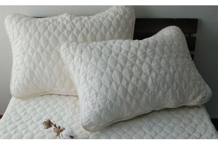 オーガニックコットン ガーゼ まくらパッド 2枚組 [0182]