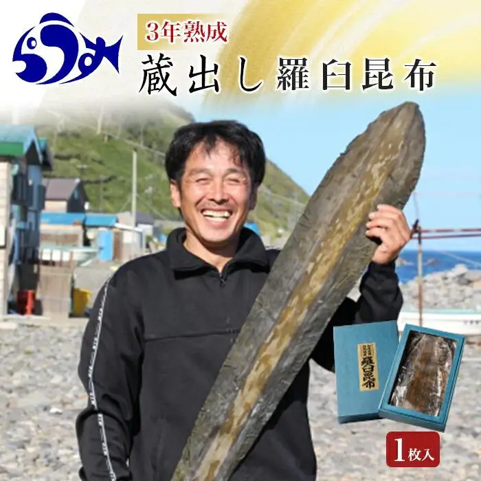 【200枚限定】養殖昆布3年熟成蔵出し羅臼昆布1枚入り≪化粧箱入≫ ｜ 北海道