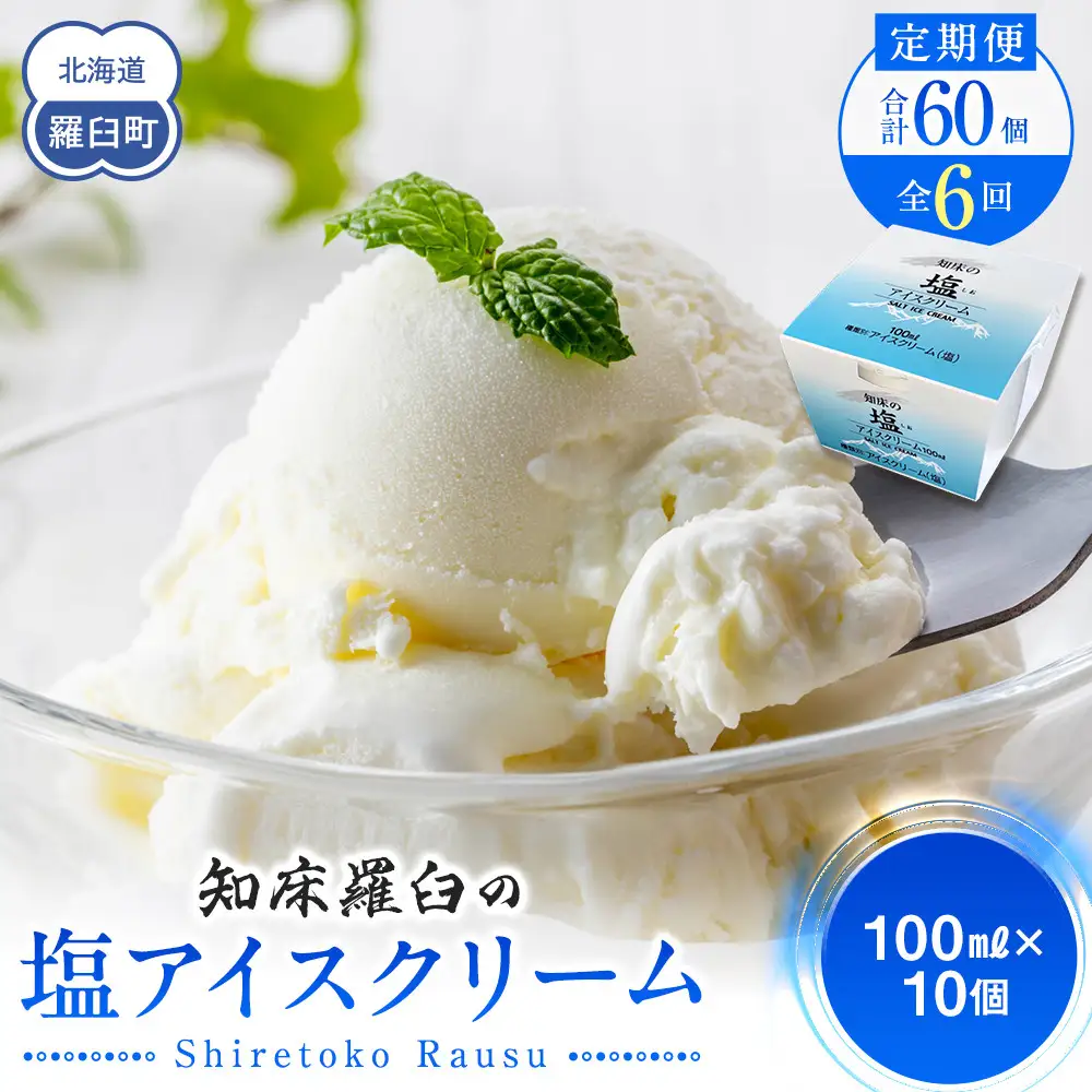 年6回！北海道 知床羅臼（らうす）の塩アイスクリーム定期便 アイス スイーツ バニラ お菓子 家族 北海道