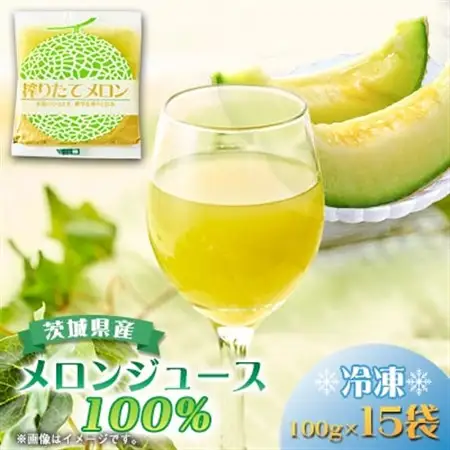 ベルファームの冷凍メロンジュース 茨城県産メロン100% 100g×15袋 【離島・沖縄配送不可】_飲料・ドリンク  果汁飲料 _【配送不可地域：離島・沖縄県】【1443649】