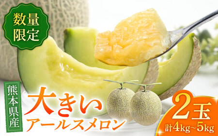 【数量限定】【先行予約】アールスメロン 約4kg～5kg（4L～5L）2玉入【道の駅 水辺プラザかもと】[ZEG001]