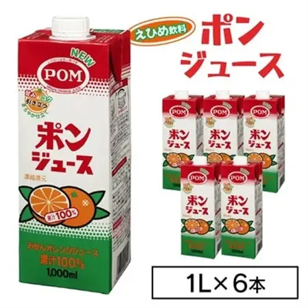 えひめ飲料　ポンジュース1L×6本_えひめ飲料 ポンジュース みかん ジュース_【配送不可地域：離島・沖縄県】【1499873】