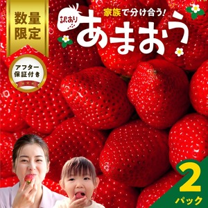 【数量限定】【2027年2月から順次発送】ファミリー向け あまおう約270g×2パック【訳あり】_あまおう いちご 果物 フルーツ ストロベリー〔Fi068〕