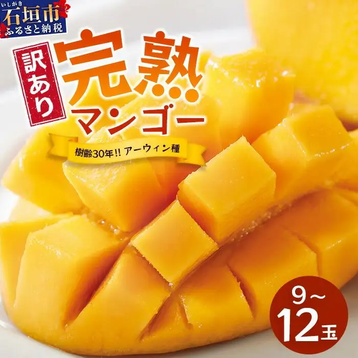 【訳あり】石垣島産 マンゴー (アーウィン種)  9～12玉(箱含め約5kg) 