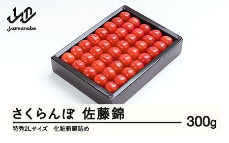 《先行予約》 さくらんぼ 佐藤錦 特秀2Lサイズ プレゼント ギフト 化粧箱入 300g 2026年産 令和8年産 山形県産 ns-snt2x300