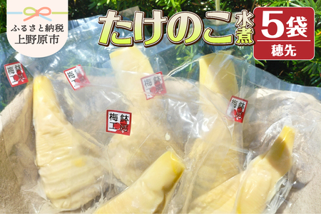 薪で炊いた柔らか仕立てのたけのこ水煮 （穂先5袋セット）