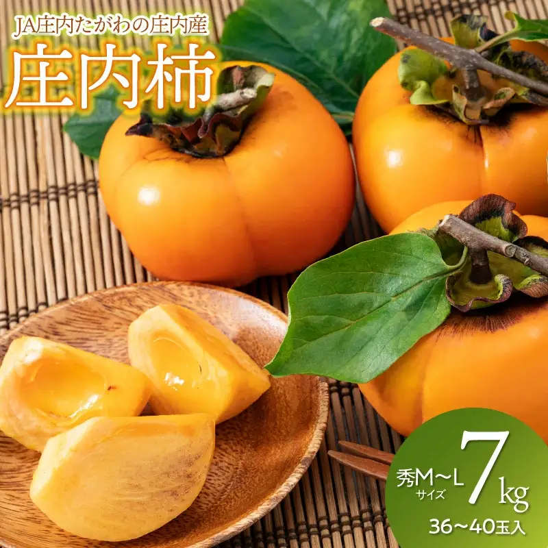 【令和8年産先行予約】JA庄内たがわの庄内柿 約7kg　秀品　M～Lサイズ （36～40玉）　K-835
