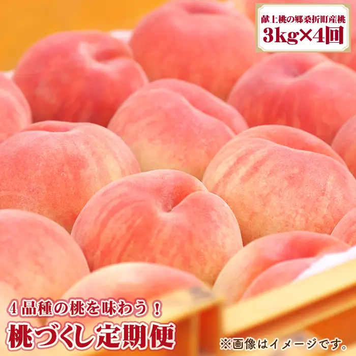 桃づくし定期便4品種【2026年産・献上桃の郷桑折町産もも3kg×4回】 ／ もも モモ 果物 フルーツ 旬 甘い 甘み ジューシー 果肉 果汁 新鮮 フレッシュ デザート おいしい 産地直送 桑折 こおり こおりまち 福島県 特産品 No.221