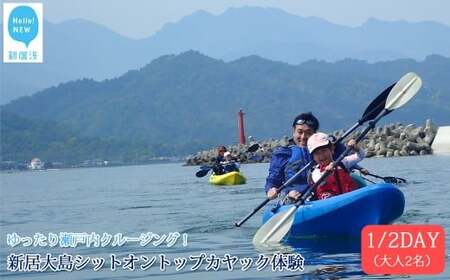 ファミリー向け　新居大島シットオントップカヤック体験　1/2DAY（大人2名）