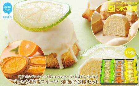 焼菓子 3種 合計15個 詰め合わせ セット 瀬戸内レモンケーキ 青いレモンケーキ 紅まどんなタルト 柑橘王国愛媛 永久堂