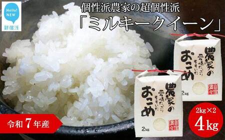 白米 精米 令和7年産 愛媛・新居浜の個性派農家の超個性派『ミルキークイーン』4kg（2kg×2袋）