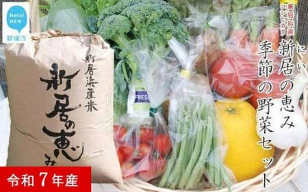 白米 精米 令和7年産 「新居の恵み（コシヒカリ）」5kg と季節の野菜2kgセット（クール便でお届け）