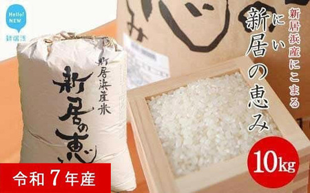 白米 精米 「新居の恵み （にこまる） 令和7年産」 10kg