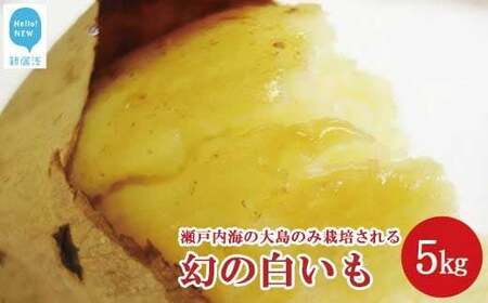 【先行予約】【数量限定】 新居浜大島産 幻のさつまいも 『白いも』 5kg 七福芋 白芋 希少