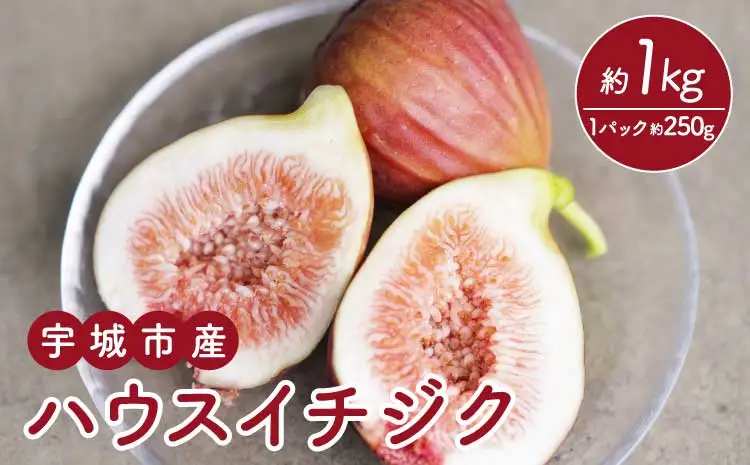 【先行予約】 イチジク ハウスイチジク 約1kg（約250g×4パック） 【合同会社宝Farm】 【2026年5月下旬～8月下旬頃順次発送予定】※離島配送不可 宇城市産イチジク 国産イチジク 熊本県産イチジク 