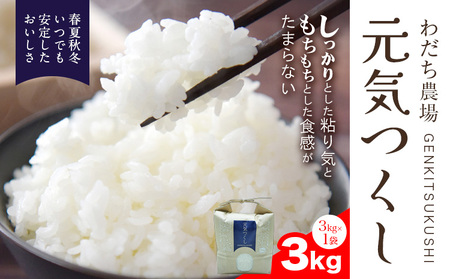 【令和7年度産】元気つくし 3kg 1袋3kg入り わだち農場《30日以内に出荷予定(土日祝除く)》福岡県 鞍手郡 鞍手町 米 コメ 元気つくし 袋 ちらし寿司 こめ