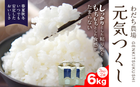 【令和7年度産】元気つくし 6kg 1袋3kg入り わだち農場《30日以内に出荷予定(土日祝除く)》福岡県 鞍手郡 鞍手町 米 コメ 元気つくし 袋 ちらし寿司 こめ