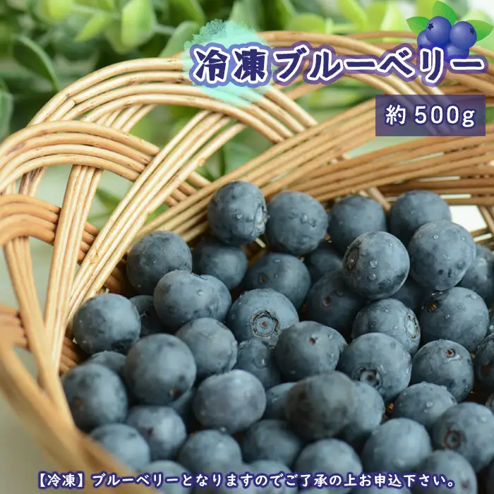 茨城県坂東市産 冷凍ブルーベリー 約500g【先行予約】 No.720