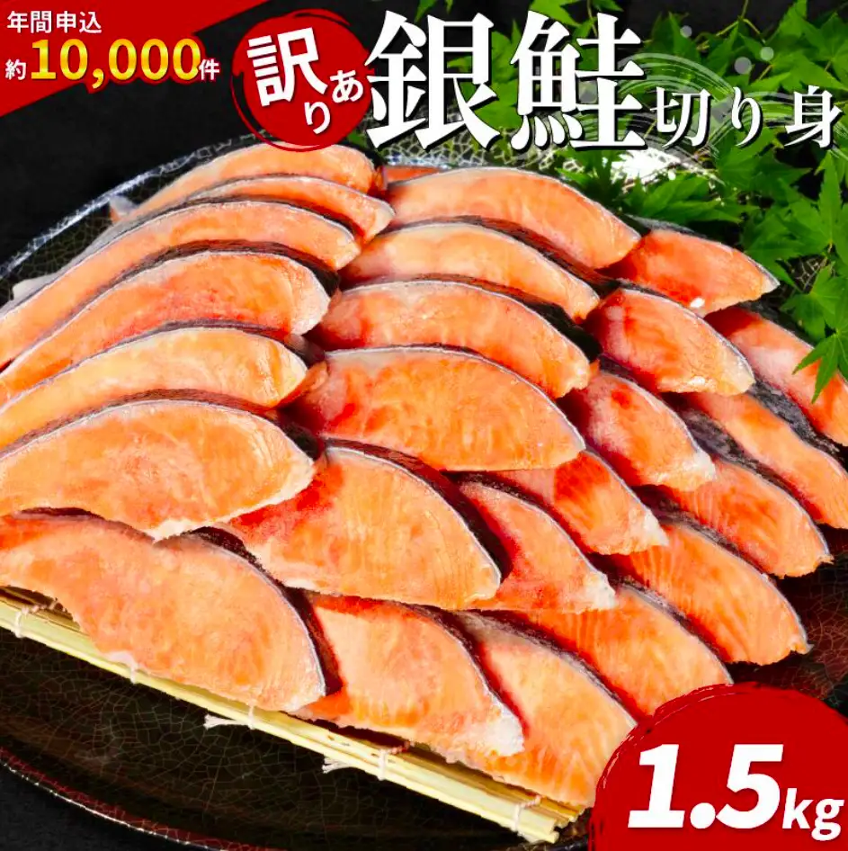 訳あり 銀鮭 1.5kg 鮭